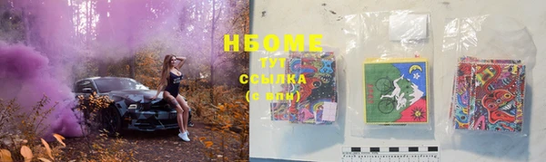 индика Болотное