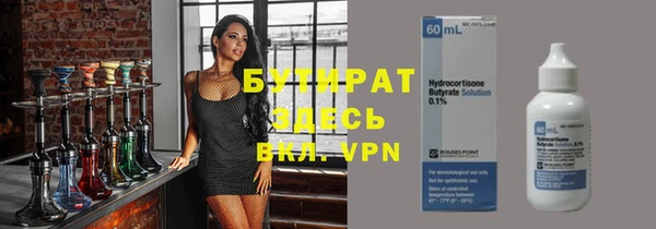 индика Болотное