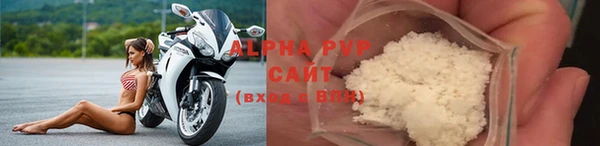 индика Болотное