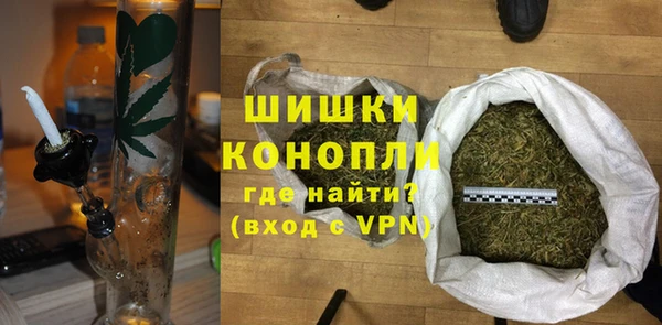 индика Болотное