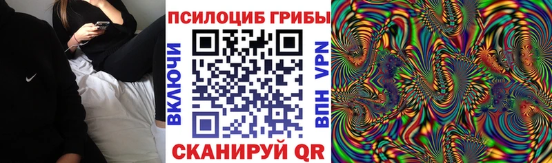 наркота  Ижевск  МЕГА зеркало  darknet состав  Псилоцибиновые грибы GOLDEN TEACHER 
