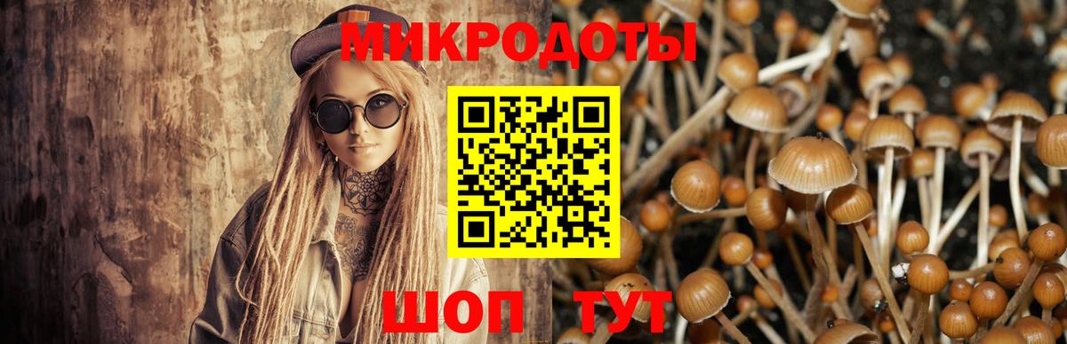 Псилоцибиновые грибы MAGIC MUSHROOMS  Псилоцибиновые грибы MAGIC MUSHROOMS  Вход с VPN  Ижевск 